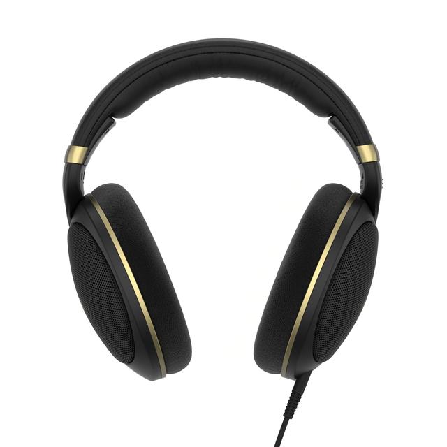 HD 505 金色