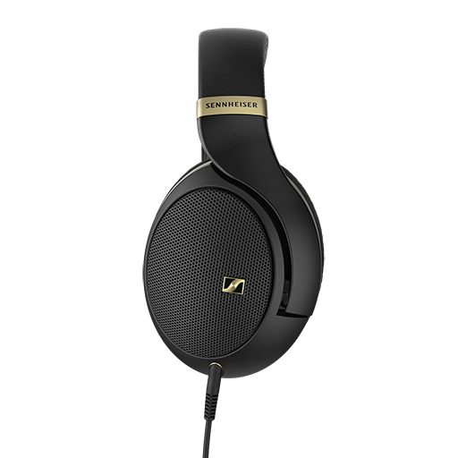 HD 505 金色
