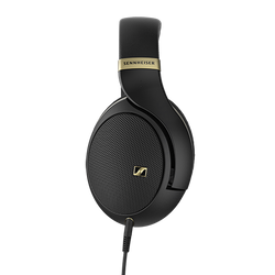 HD 505 Gold